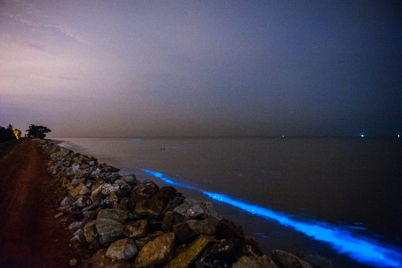 夜里的海堤，浪里的发光浮游生物沿着石头亮起一道蓝光。